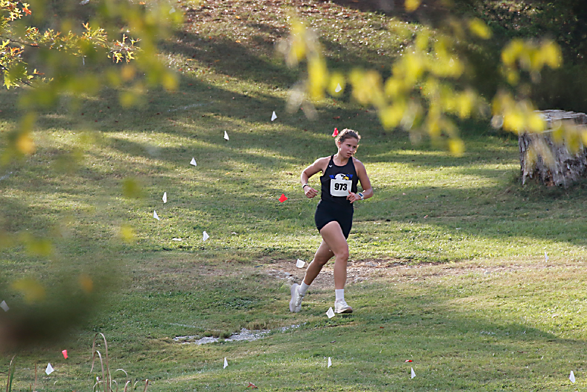 Eagles Cross Country Opens Season at Lyon College Invitational