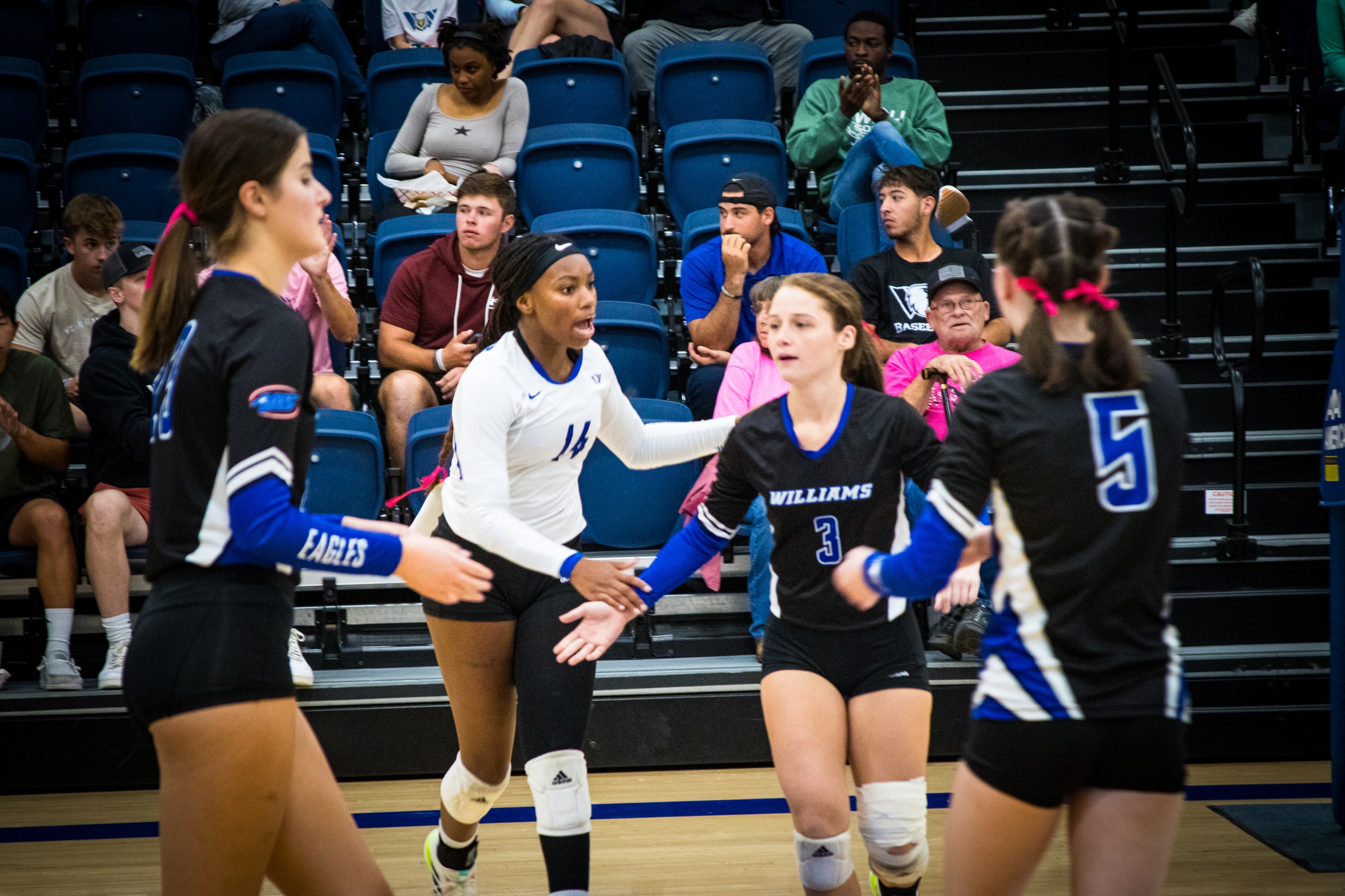 WBU Volleyball Yields Result to Freed-Hardeman